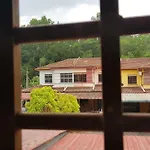 Dpallet Jelapang
